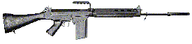 Self Loading Rifle (SLR)